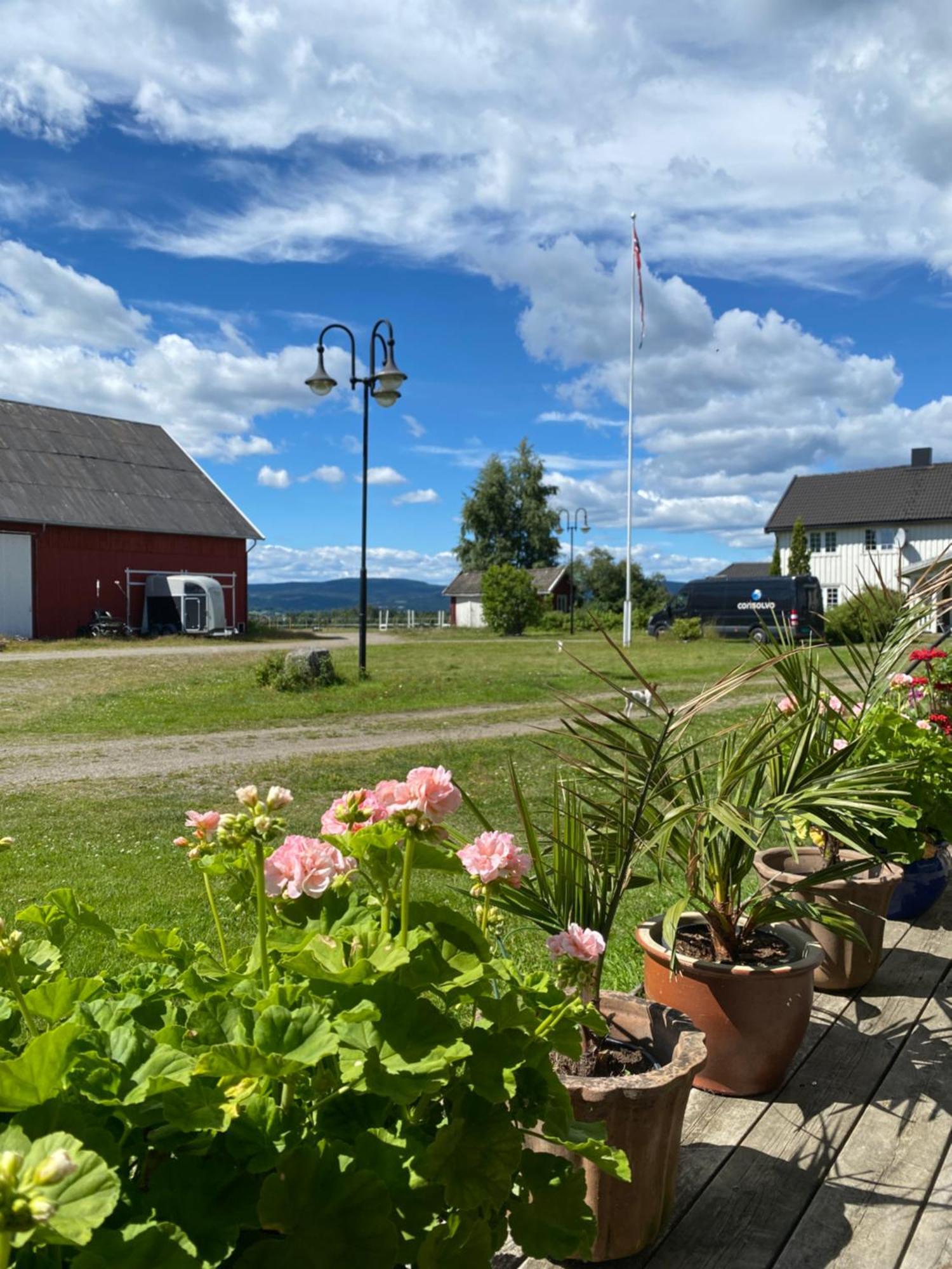فيلا Sundby Fjordhestgard غاردرموان المظهر الخارجي الصورة