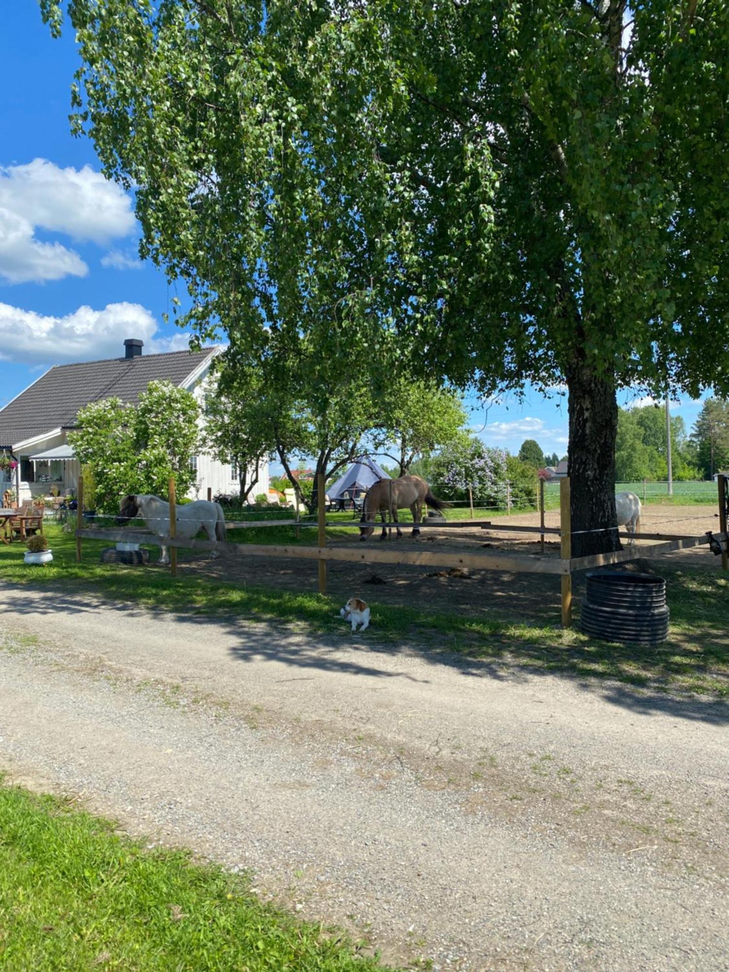فيلا Sundby Fjordhestgard غاردرموان المظهر الخارجي الصورة