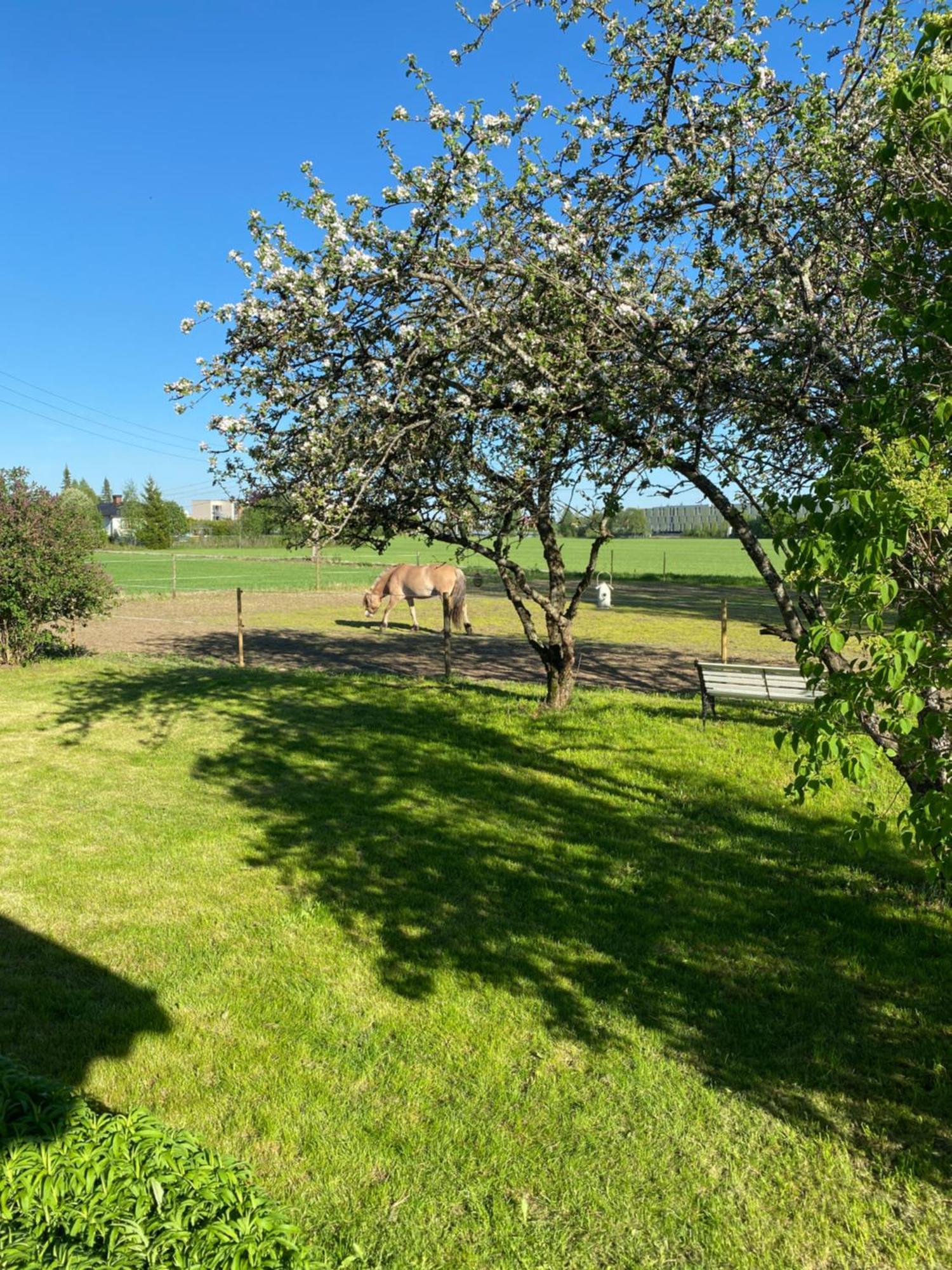 فيلا Sundby Fjordhestgard غاردرموان المظهر الخارجي الصورة